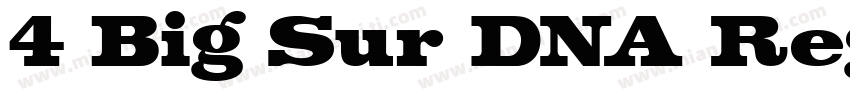 4 Big Sur DNA Regular字体转换